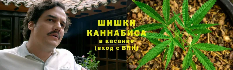 Шишки марихуана сатива  блэк спрут ТОР  Анива 